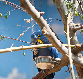 突破创新边界的短信验证码轰炸免费