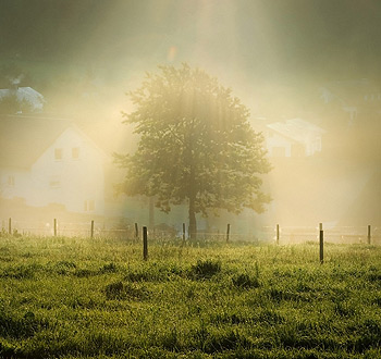 发卡网站稳定的在线短信压力测试