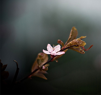 手机号测压平台